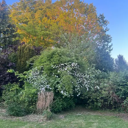 Landhuis Casa De Rainer