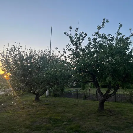 Casa De Rainer Tommerup