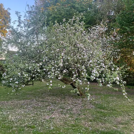 Casa De Rainer Tommerup